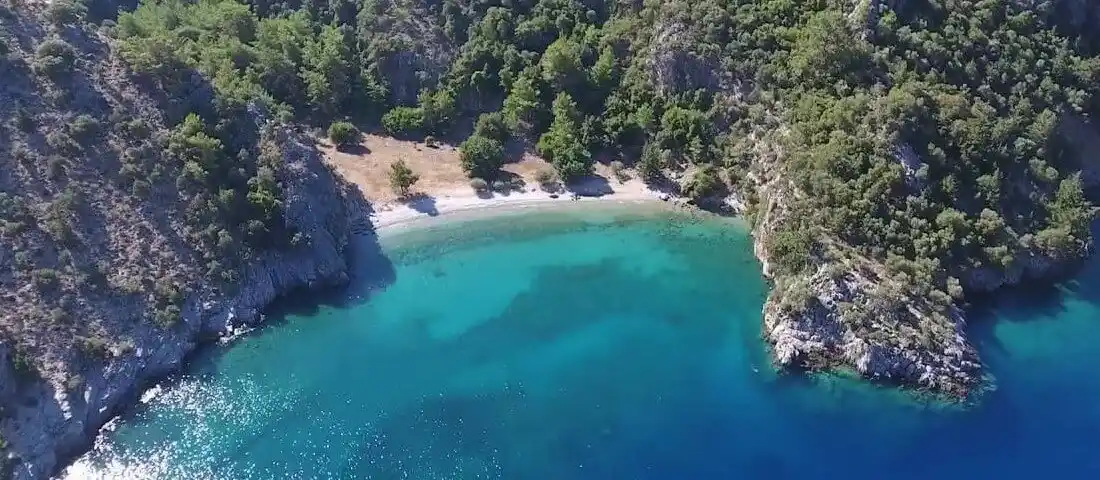 Kargıcak VIP Transfer